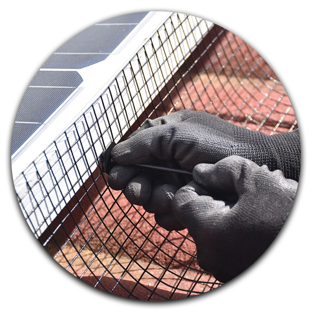 Bright Home Solar Panel Cleaning Our Bird-Proofing Process 1